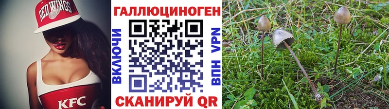 Псилоцибиновые грибы мухоморы  shop как зайти  Пошехонье 